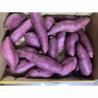 138.千葉県産さつまいも、紫芋　箱込み約1.3kg(野菜)