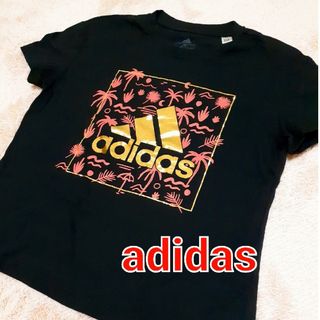 アディダス(adidas)のみこ様専用　adidas半袖Tシャツ&七分丈パンツ(Tシャツ(半袖/袖なし))