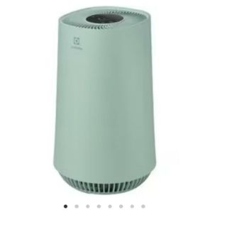 エレクトロラックス Electrolux FA31-203GN 空気清浄機(空気清浄器)