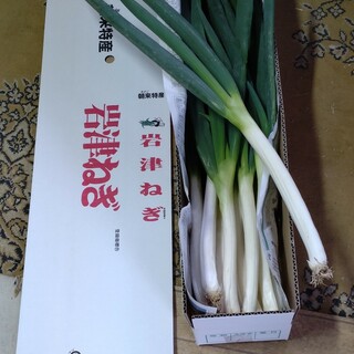 岩津ネギLサイズ2キロ(野菜)
