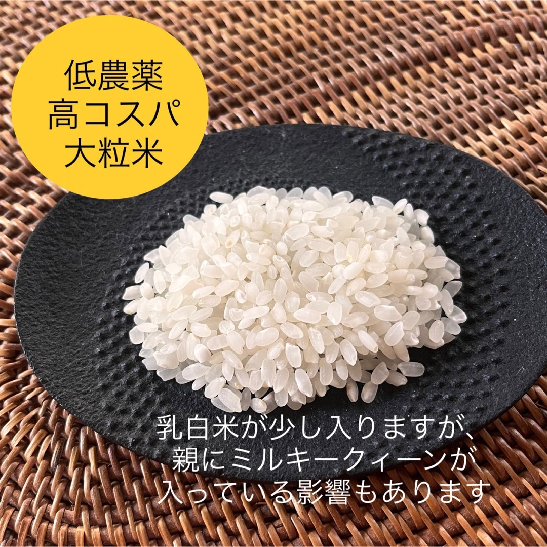 新米令和5年産◎低農薬【コシヒカリ系大粒米】白米10kg(5kg×2) 食品/飲料/酒の食品(米/穀物)の商品写真