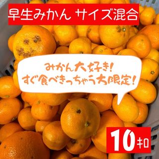 超訳あり！サイズ混合『早生みかん』10キロ  静岡県浜松産(フルーツ)