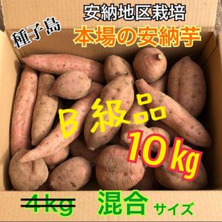 種子島　農家直送！安納地区の安納芋　混合 10キロ(野菜)