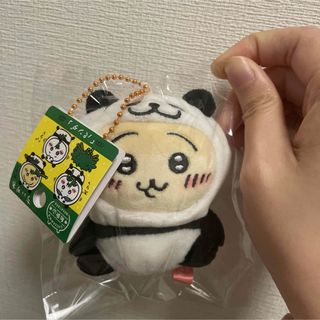 チイカワ(ちいかわ)のご当地ちいかわ　和歌山限定　パンダ　うさぎ(キャラクターグッズ)