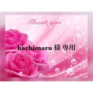 ♡ hachimaru様 専用 ♡(その他)