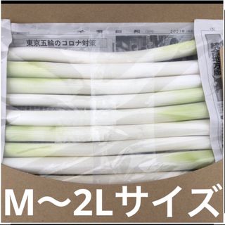 千葉県産　　カット白長ネギ　　A4サイズ(野菜)