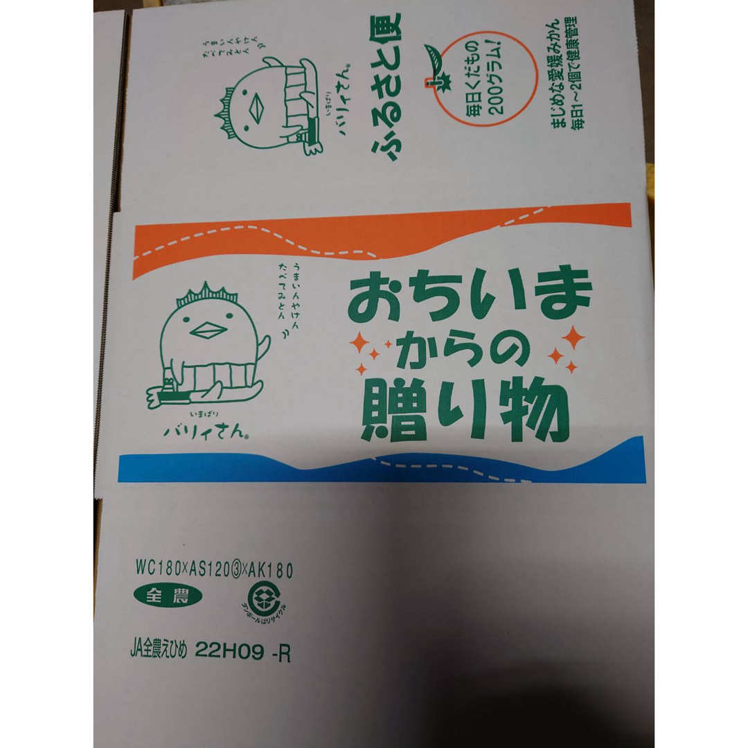 愛媛みかん(エヒメミカン)の愛媛県産　特別栽培　温州みかん 食品/飲料/酒の食品(フルーツ)の商品写真