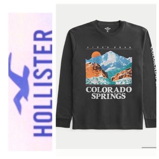 ホリスター(Hollister)の◎M◎新品正規品◎ホリスター◎HOLLISTER ◎ロングTシャツ◎送料込(Tシャツ/カットソー(七分/長袖))