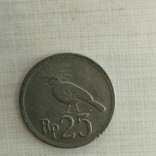 インドネシアコイン(貨幣)