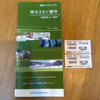 セイブヒャッカテン(西武百貨店)の西武　株主優待(鉄道乗車券)