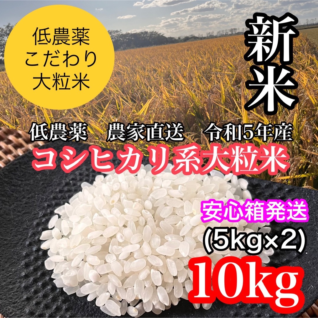 新米令和5年産◎低農薬【コシヒカリ系大粒米】白米10kg(5kg×2) 食品/飲料/酒の食品(米/穀物)の商品写真