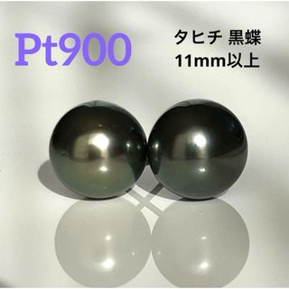 新品　大珠  11mm以上　Pt900 タヒチ パール 黒蝶真珠. ピアス(ピアス)