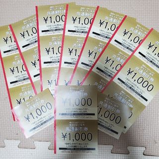 西武株主優待　共通割引券　25000円分　スキーリフト割引券5枚付き(その他)