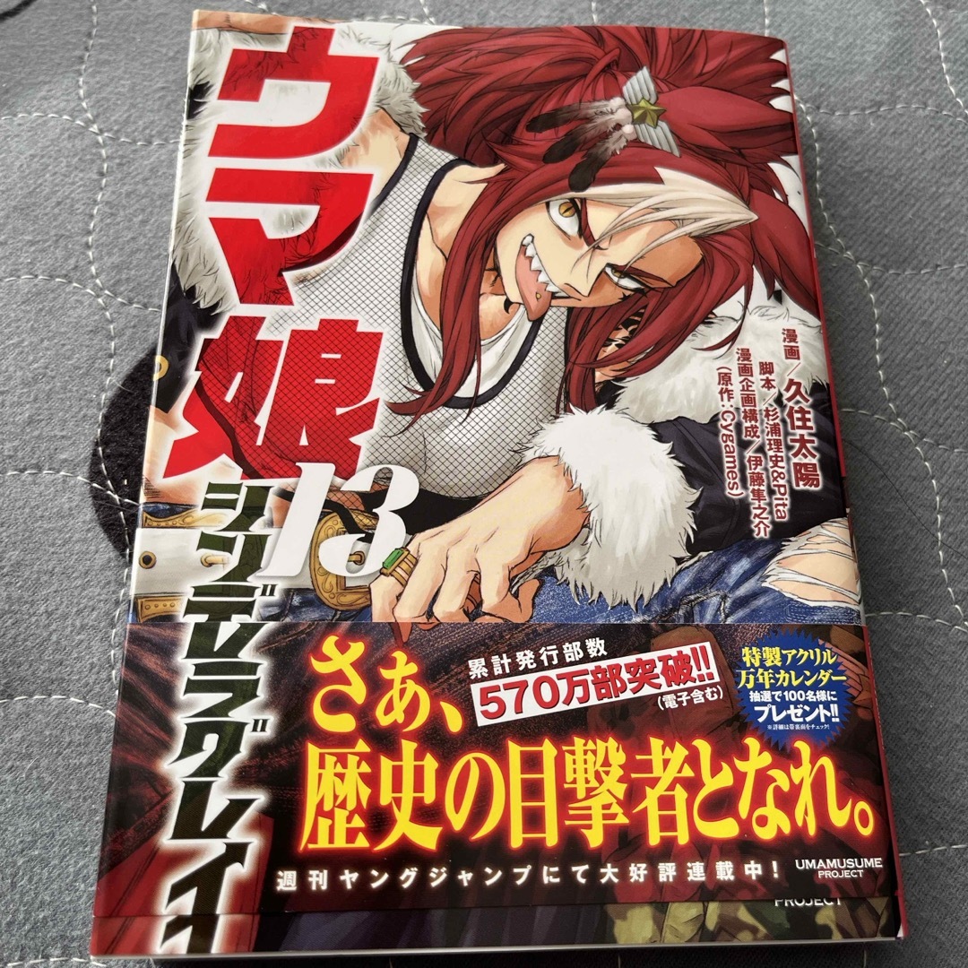 【二冊同時購入なら割引】ウマ娘シンデレラグレイ13 エンタメ/ホビーの漫画(青年漫画)の商品写真