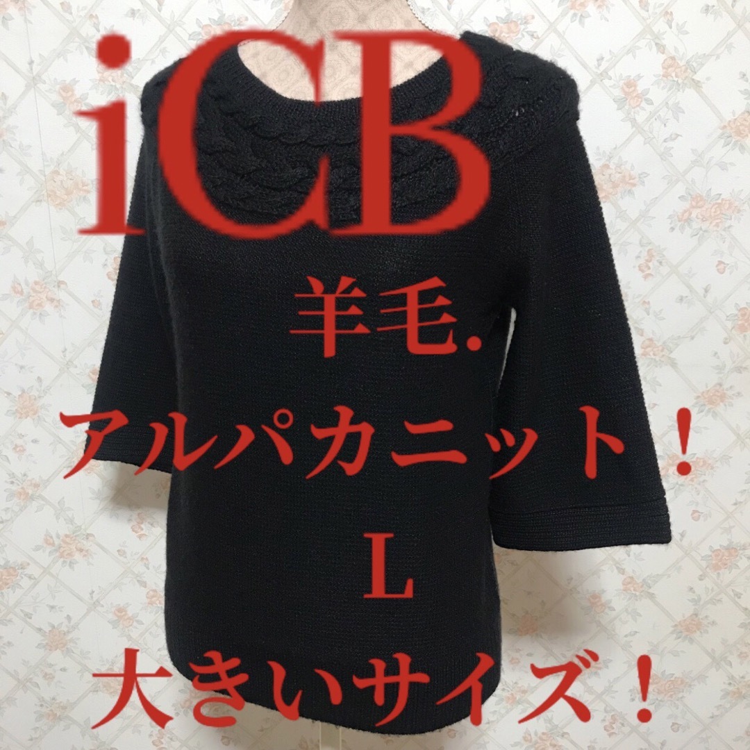 ICB(アイシービー)の★iCB/アイシービー★極美品★大きいサイズ！羊毛.アルパカセーターL.11号 レディースのトップス(ニット/セーター)の商品写真