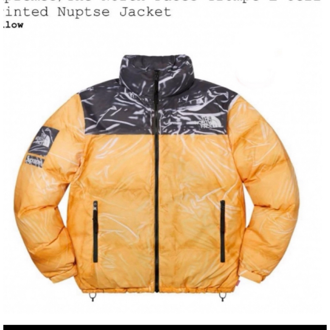 Supreme(シュプリーム)のSupreme / The North Face Printed Nuptse  メンズのジャケット/アウター(ダウンジャケット)の商品写真