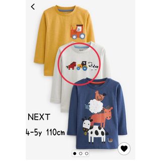 ネクスト(NEXT)のNEXT 長袖Tシャツ 4-5歳(Tシャツ/カットソー)