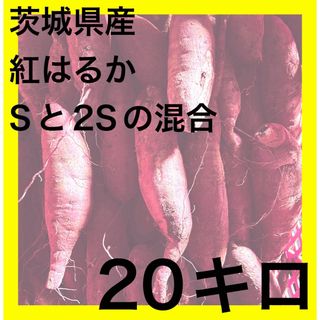 茨城県産　紅はるか　Sと2S混合　20キロ　オトショップ　焼き芋用(野菜)