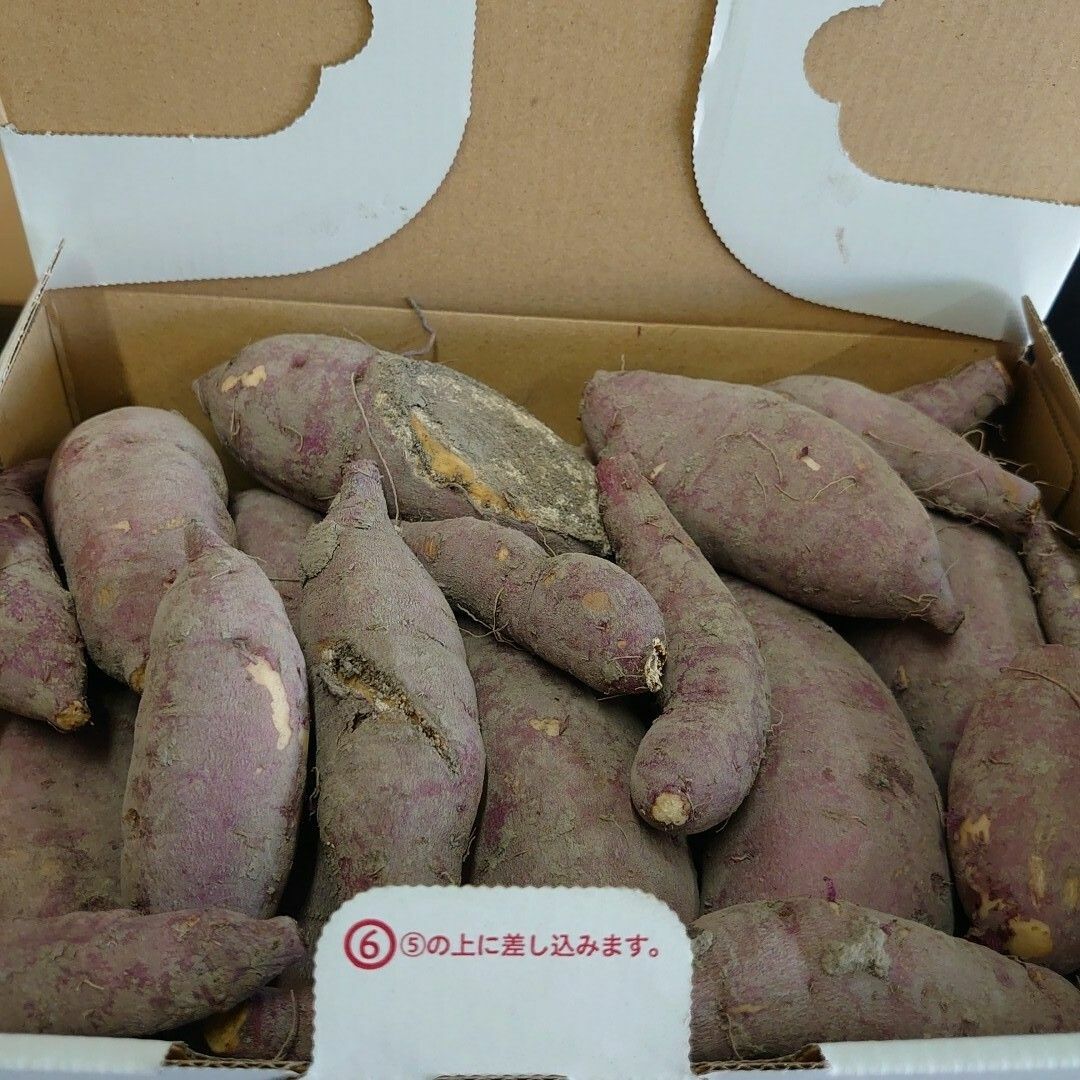 静岡県産＊訳あり*不揃いさつまいも＊無農薬＊農家直送＊産直 食品/飲料/酒の食品(野菜)の商品写真