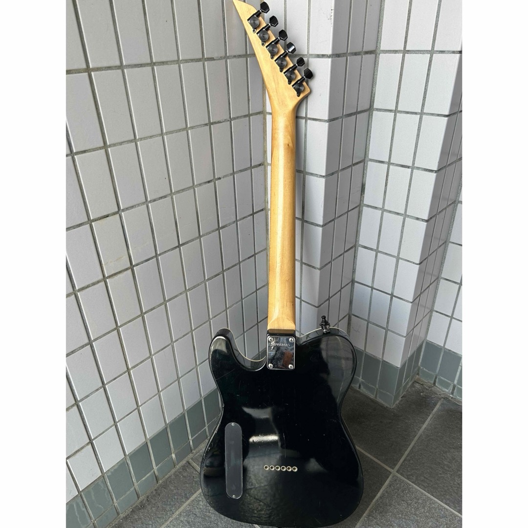 Fernandes - #フェルナンデスエレキギター#自作ペイント#布袋 Fernandes - #フェルナンデスエレキギター#自作ペイント#布袋