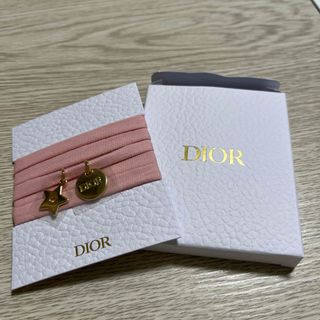 クリスチャンディオール(Christian Dior)のDIOR チャーム　非売品　(チャーム)