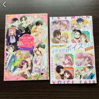 購入特典　ミニイラストブック　超豪華特別版冊子　イケメンボイスフェア　非売品(少女漫画)