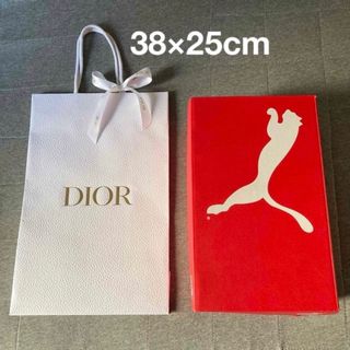 ディオール(Dior)のDior ディオール ショッパー 紙袋 大きめサイズ(その他)