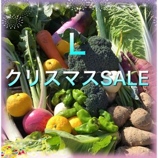 クリスマスSALE 採れたて新鮮野菜　80サイズ (野菜)