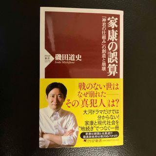 家康の誤算(その他)