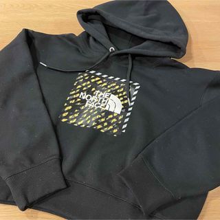 ザノースフェイス(THE NORTH FACE)のザノースフェイス  Brave Hoodie ブレーブフーディ L(パーカー)