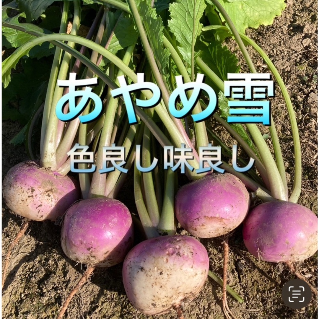 クリスマスSALE 採れたて新鮮野菜　80サイズ  食品/飲料/酒の食品(野菜)の商品写真