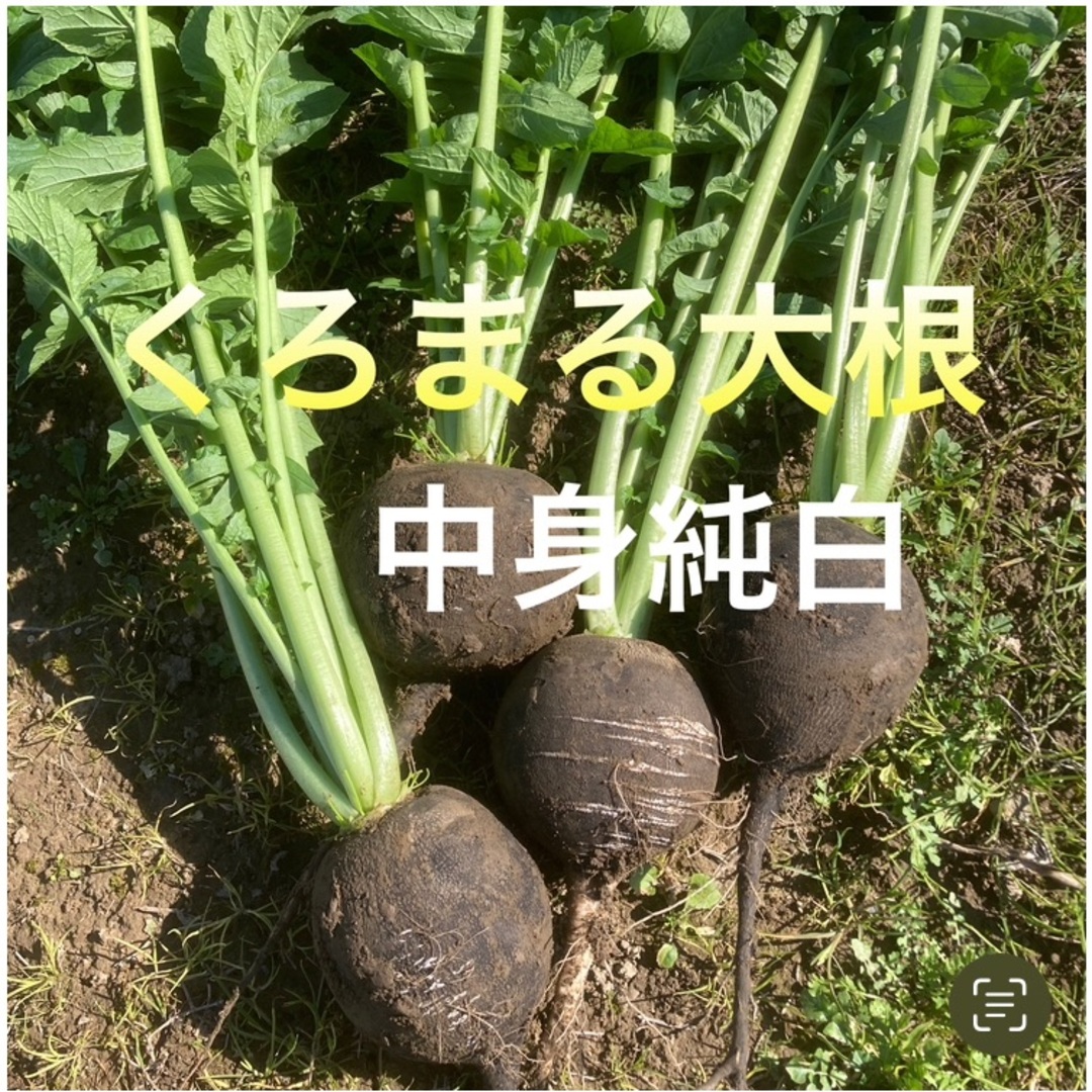 クリスマスSALE 採れたて新鮮野菜　80サイズ  食品/飲料/酒の食品(野菜)の商品写真