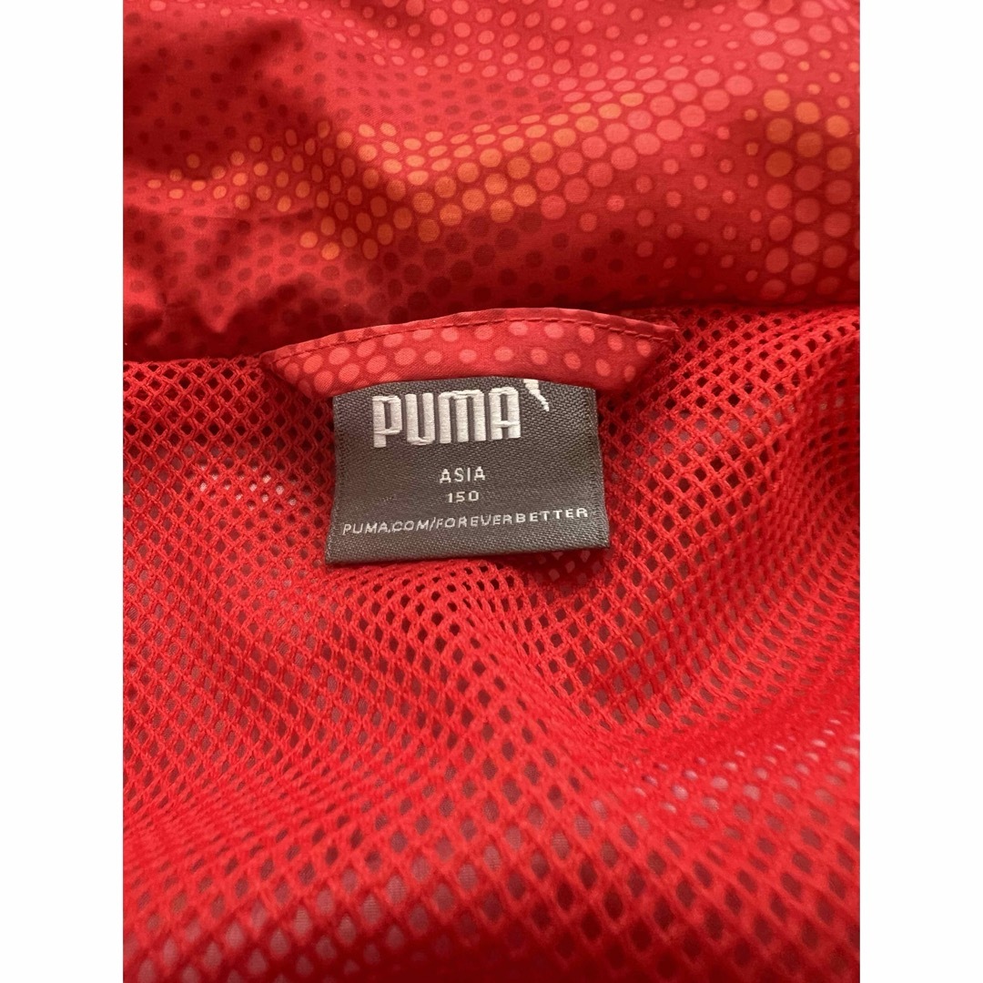 PUMA(プーマ)のPUMAウインドブレーカー150センチ　期間限定値下げ キッズ/ベビー/マタニティのキッズ服男の子用(90cm~)(ジャケット/上着)の商品写真