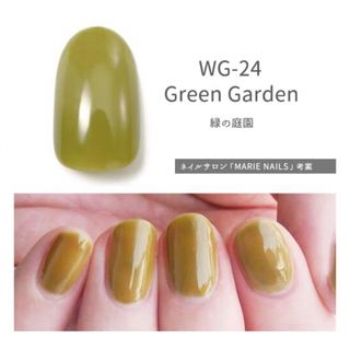 ホメイ(HOMEI)のHOMEI ウィークリージェル　ジェル　WG-24  Green Garden(カラージェル)