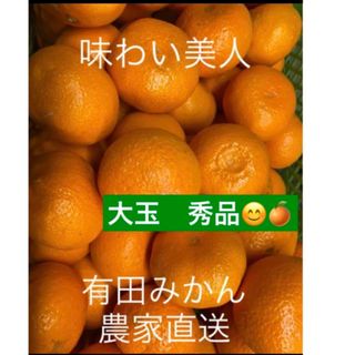 有田みかん農家直送ブランド味わい美人大玉秀品箱込み10キロ(フルーツ)