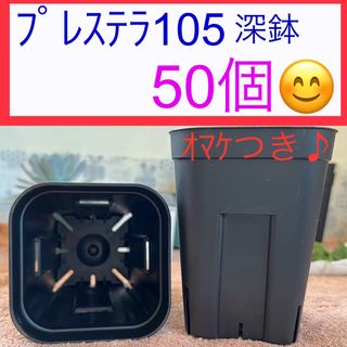 D①⑦ 【プレステラ105 深鉢】ﾌﾞﾗｯｸ50個セット★(プランター)