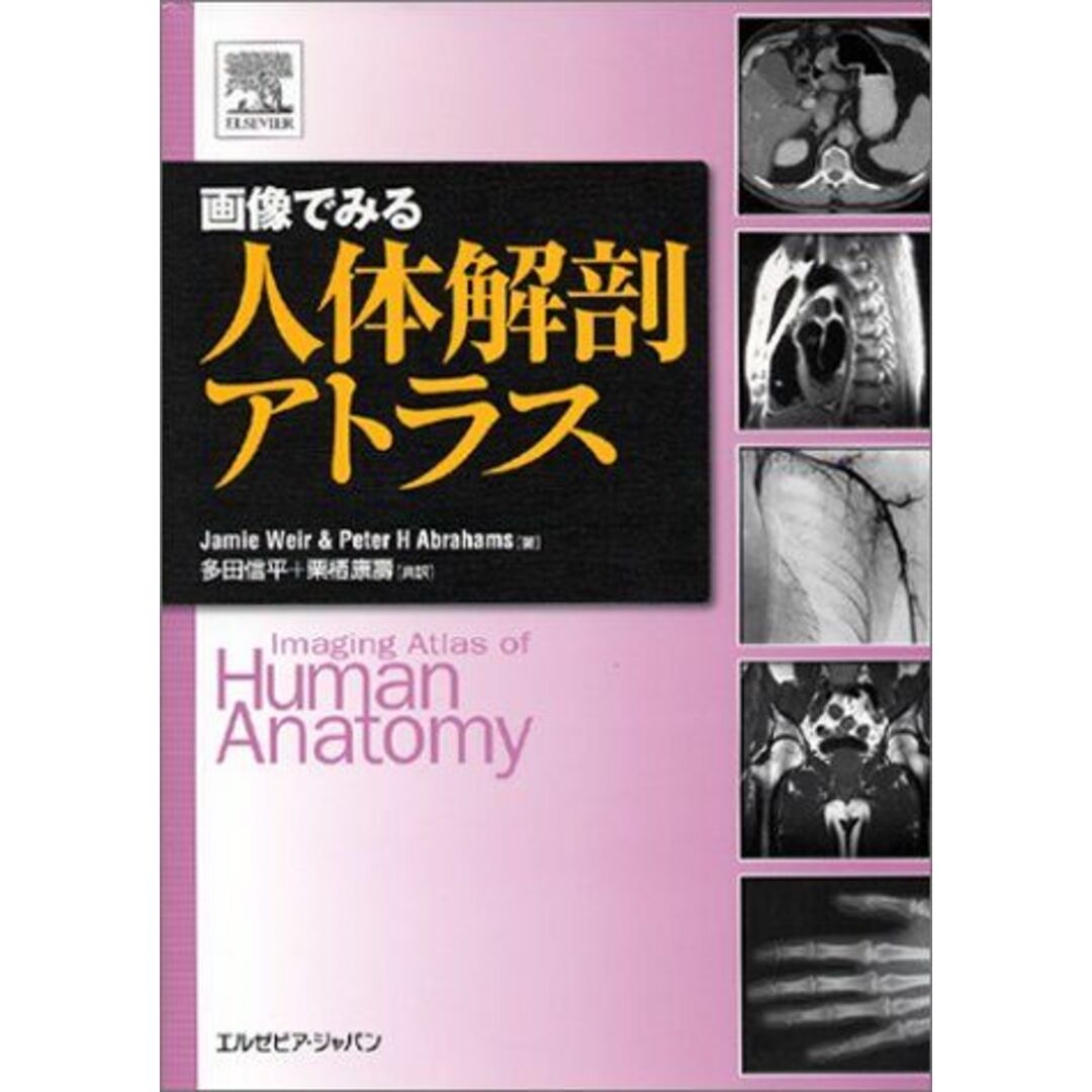 画像でみる人体解剖アトラス ジェイミー ワイヤー、 ピーター・H. アブラハムス、 多田 信平; 栗栖 康寿 エンタメ/ホビーの本(語学/参考書)の商品写真