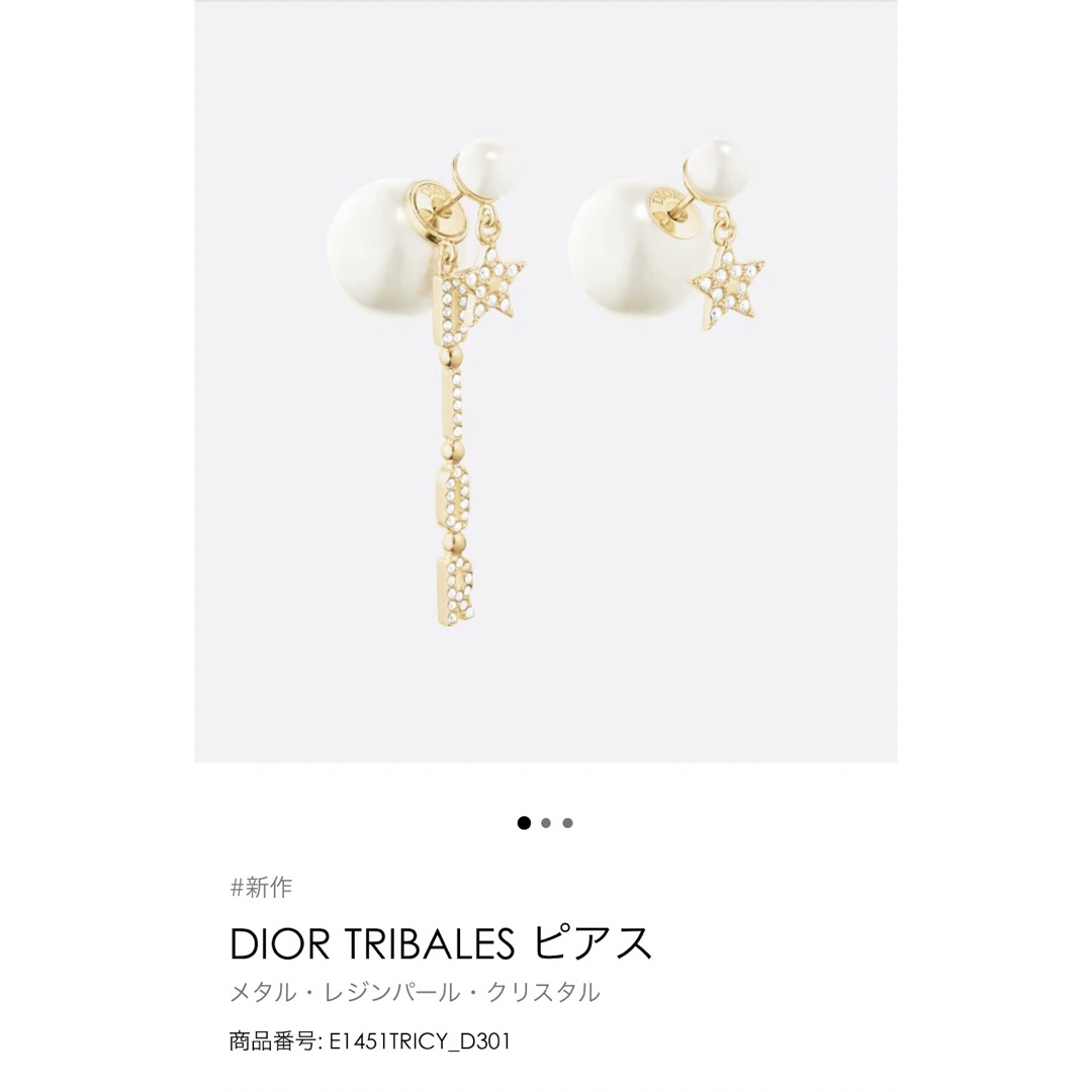 確実正規品】【完売品】DIOR TRIBALES ピアス 【送料無料/新品】 78.0