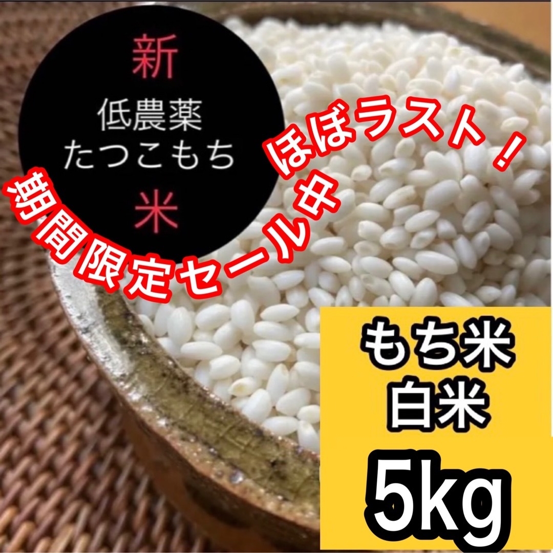 新米R5産◎低農薬 【たつこもち】もち米白米5kg 食品/飲料/酒の食品(米/穀物)の商品写真