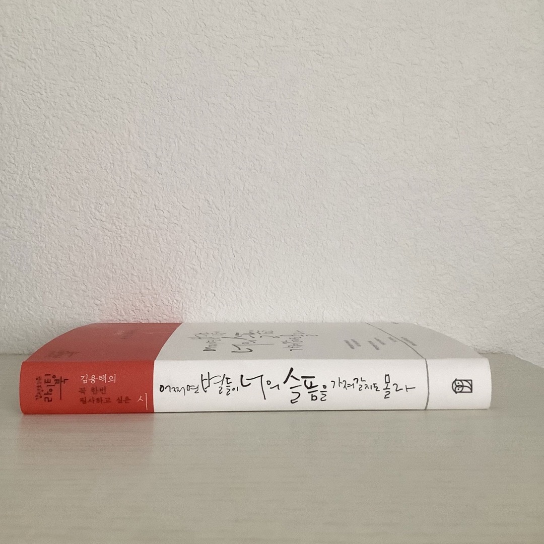 【トッケビ詩集】もしかしたら星たちが君の悲しみを持っていくかもしれない エンタメ/ホビーのエンタメ その他(その他)の商品写真