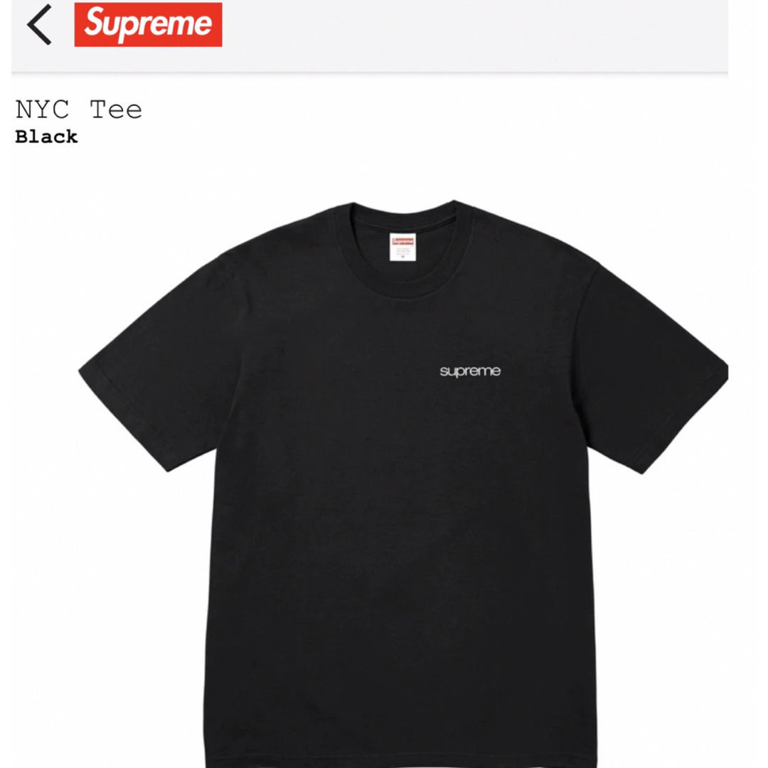 Supreme(シュプリーム)の本物 新品 supreme ロゴ tシャツ スウェット パーカー バックパック メンズのトップス(Tシャツ/カットソー(半袖/袖なし))の商品写真