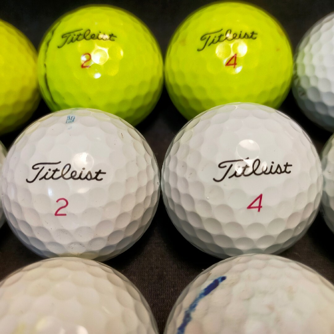 【S133】Titleist PRO V1 白 19年 ロストボール 24球