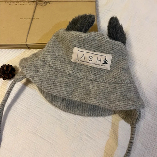 アッシュ(ASH)のASH  generation wool hat(帽子)