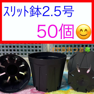 G⑩  ｽﾘｯﾄ鉢【2.5号】50個ｾｯﾄ★ﾌﾞﾗｯｸ(プランター)