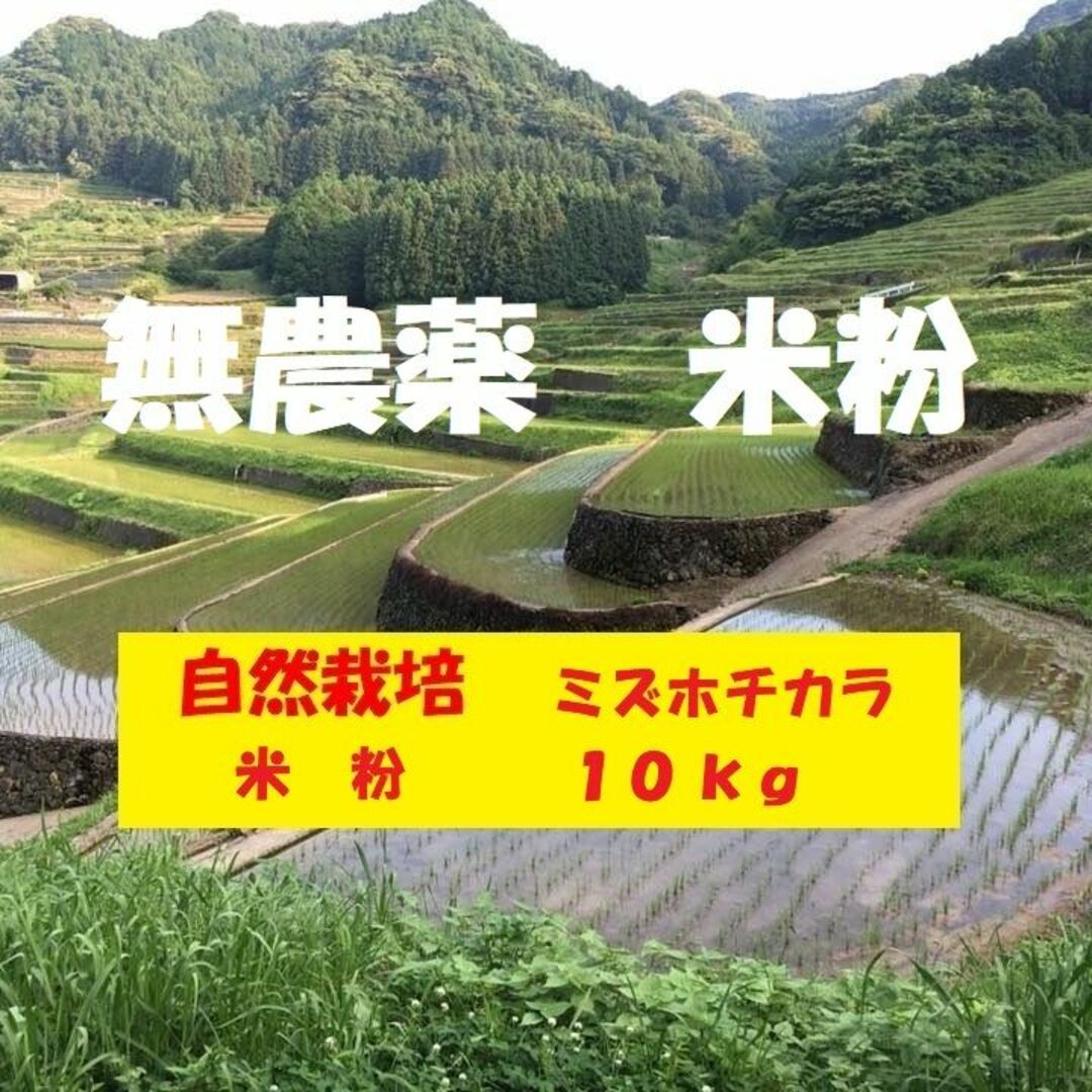 【年始セール】自然栽培「ミズホチカラ」パン用米粉　１ｋｇ　X　１０袋 食品/飲料/酒の食品(米/穀物)の商品写真