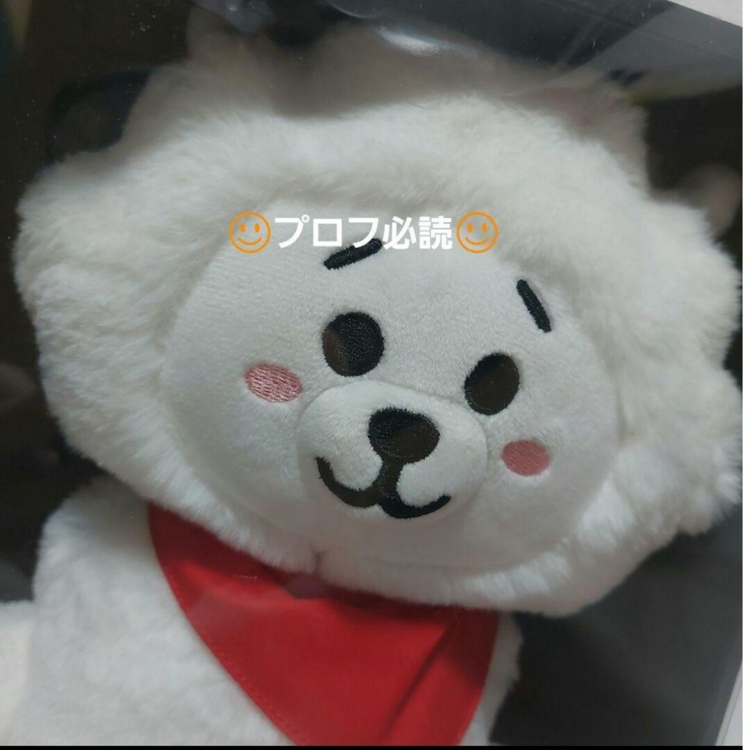 BT21(ビーティーイシビル)の初期　BT21　スタンディングドール　RJ　ぬいぐるみ　PLUSH DOLL エンタメ/ホビーのおもちゃ/ぬいぐるみ(ぬいぐるみ)の商品写真