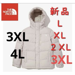 ザノースフェイス(THE NORTH FACE)のTHE NORTH FACE ノースフェイス 軽量ダウンジャケット 新品 4L(ダウンジャケット)