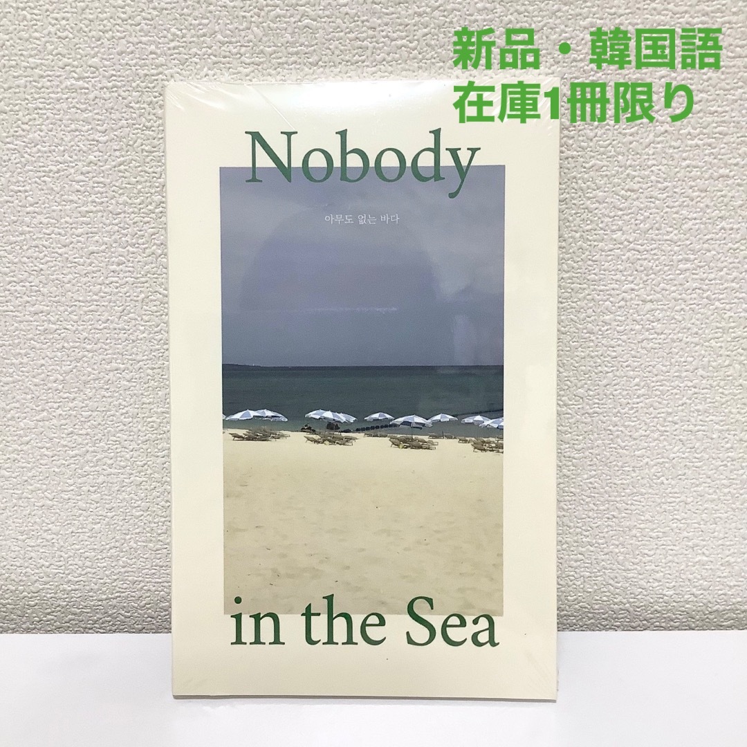 【在庫1冊限り】Nobody in the sea（韓国語・新品） エンタメ/ホビーの本(文学/小説)の商品写真