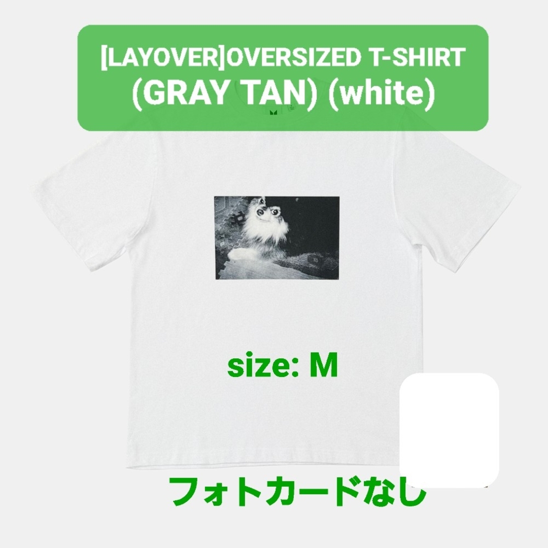 100%Cotton-製造国BTS V『LAYOVER』Tシャツ GRAY TAN Mサイズ カードなし