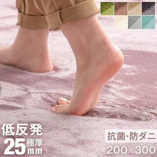 新品★カーペット 200×300 厚手 低反発 床暖房対応【カラー選択】tnsu(カーペット)